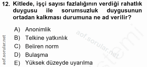 12. soru: Kitlede, işçi sayısı fazlalığının verdiği rahatlık duygusu ile sorumsuzluk duygusunun ortadan kalkması durumuna ne ad…
