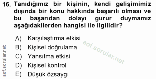 16. soru: Tanıdığımız bir kişinin, kendi gelişimimiz dışında bir konu hakkında başarılı olması ve bu başarıdan dolayı gurur duy…