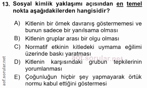 13. soru: Sosyal kimlik yaklaşımı açısından en temel nokta aşağıdakilerden hangisidir? A) Kitlenin bir örnek davranış göstermem…