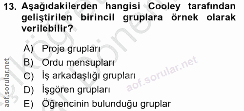 13. soru: Aşağıdakilerden hangisi Cooley tarafından geliştirilen birincil gruplara örnek olarak verilebilir? A) Proje grupları…