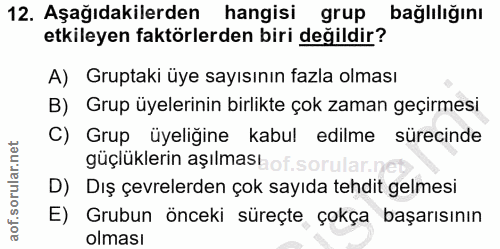 12. soru: Aşağıdakilerden hangisi grup bağlılığını etkileyen faktörlerden biri değildir? A) Gruptaki üye sayısının fazla olması…
