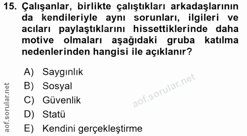 15. soru: Çalışanlar, birlikte çalıştıkları arkadaşlarının da kendileriyle aynı sorunları, ilgileri ve acıları paylaştıklarını…