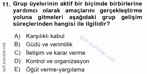 11. soru: Grup üyelerinin aktif bir biçimde birbirlerine yardımcı olarak amaçlarını gerçekleştirme yoluna gitmeleri aşağıdaki g…