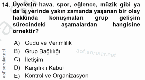 14. soru: Uyelerin hava, spor, eğlence, müzik gibi ya da iş yerinde yakın zamanda yaşanan bir olay hakkında konuşmaları grup ge…