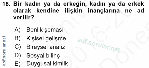 18. soru: Bir kadın ya da erkeğin, kadın ya da erkek olarak kendine ilişkin inançlarına ne ad verilir? A) Benlik şeması Kişisel…