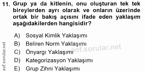 11. soru: Grup ya da kitlenin, onu oluşturan tek tek bireylerden ayrı olarak ve onların üzerinde ortak bir bakış açısını ifade…