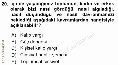 20. soru: İçinde yaşadığımız toplumun, kadın ve erkek olarak bizi nasıl gördüğü, nasıl algıladığı, nasıl düşündüğü ve nasıl dav…