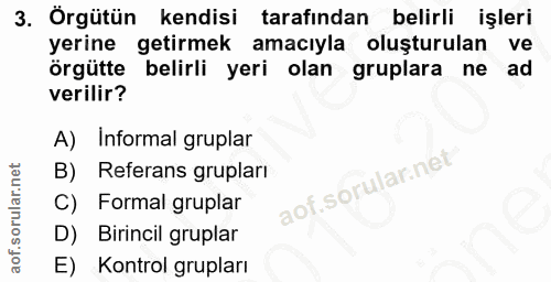 3. soru: Örgütün kendisi tarafından belirli işleri yerine getirmek amacıyla oluşturulan ve örgütte belirli yeri olan gruplara…