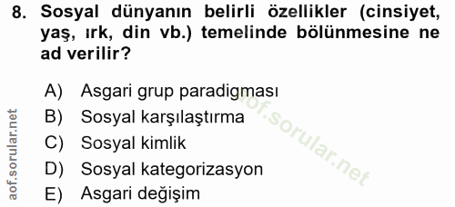 8. soru: Sosyal dünyanın belirli özellikler (cinsiyet, yaş, ırk, din vb.) temelinde bölünmesine ne ad verilir? A) Asgari grup…