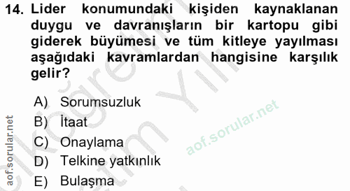 14. soru: Lider konumundaki kişiden kaynaklanan duygu ve davranışların bir kartopu gibi giderek büyümesi ve tüm kitleye yayılma…