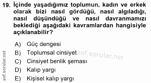19. soru: Içinde yaşadığımız toplumun, kadın ve erkek olarak bizi nasıl gördüğü, nasıl algıladığı, nasıl düşündüğü ve nasıl dav…