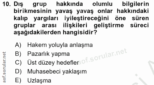 10. soru: DIŞ grup hakkinda olumlu bilgilerin birikmesinin yavaş yavaş onlar hakkındaki kalıp yargıları iyileştireceğini öne sü…