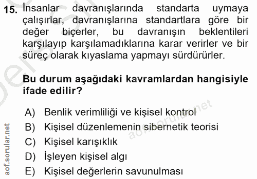 15. soru: Insanlar davranışlarında standarta uymaya çalışırlar, davranışlarına standartlara göre bir değer biçerler, bu davranı…