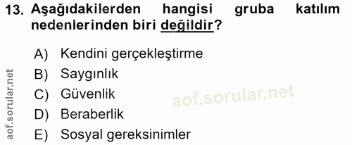 13. soru: Aşağıdakilerden hangisi gruba katılım nedenlerinden biri değildir? A) Kendini gerçekleştirme B) Saygınlık C) Güvenlik…