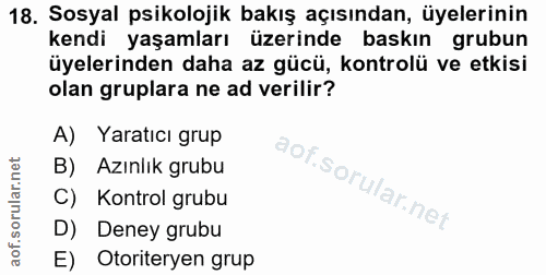 18. soru: Sosyal psikolojik bakış açısından, üyelerinin kendi yaşamları üzerinde baskın grubun üyelerinden daha az gücü, kontro…