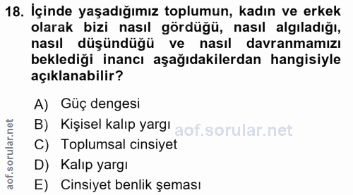18. soru: İçinde yaşadığımız toplumun, kadın ve erkek olarak bizi nasıl gördüğü, nasıl algıladığı, nasıl düşündüğü ve nasıl dav…