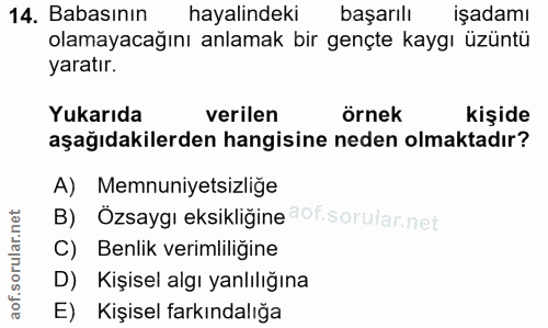 14. soru: Babasının hayalindeki başarılı işadamı olamayacağını anlamak bir gençte kaygı üzüntü yaratır. Yukarıda verilen örnek…