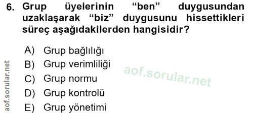 6. soru: Grup üyelerinin "ben" duygusundan uzaklaşarak "biz" duygusunu hissettikleri süreç aşağıdakilerden hangisidir? A) Grup…