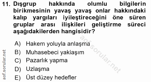 11. soru: Dışgrup hakkında olumiu bilgilerin birikmesinin yavaş yavaş onlar hakkındaki kalıp yargıları iyileştireceğini öne sür…
