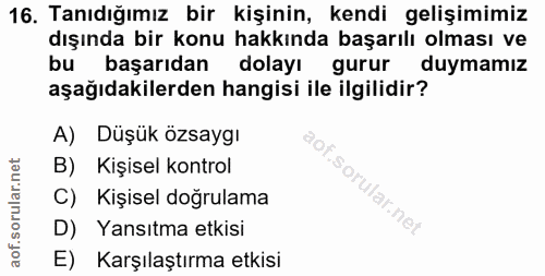 16. soru: Tanıdığımız bir kişinin, kendi gelişimimiz dışında bir konu hakkında başarılı olması ve bu başarıdan dolayı gurur duy…