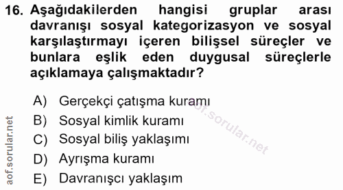 16. soru: Aşağıdakilerden hangisi gruplar arası davranışı sosyal kategorizasyon ve sosyal karşılaştırmayı içeren bilişsel süreç…