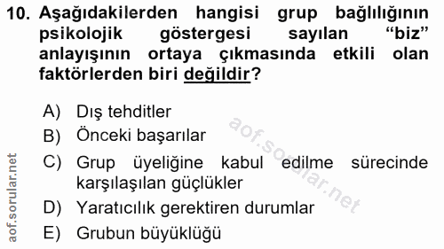 10. soru: Aşağıdakilerden hangisi grup bağlılığının psikolojik göstergesi sayılan "biz" anlayışının ortaya çıkmasında etkili ol…