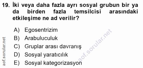 19. soru: İki veya daha fazla ayrı sosyal grubun bir ya da birden fazla temsilcisi arasındaki etkileșime ne ad verilir? A) Egos…