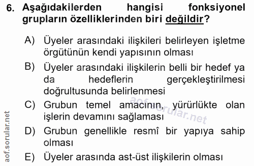 6. soru: Aşağıdakilerden hangisi fonksiyonel grupların özelliklerinden biri değildir? A) Üyeler arasındaki ilişkileri belirley…
