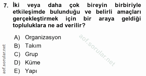 7. soru: İki veya daha çok bireyin birbiriyle etkileşimde bulunduğu ve belirli amaçları gerçekleştirmek için bir araya geldigi…