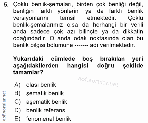 5. soru: Çoklu benlik-şemaları, birden çok benliği değil, benliğin farklı yönlerini ya da farklı benlik versiyonlarını temsil…