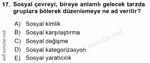 17. soru: Sosyal çevreyi, bireye anlamlı gelecek tarzda gruplara bölerek düzenlemeye ne ad verilir? A) Sosyal kimlik B) Sosyal…