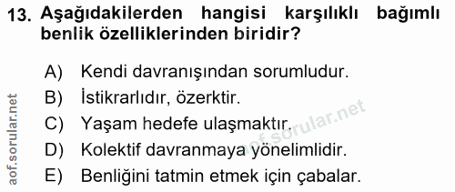 13. soru: Aşağıdakilerden hangisi karşılıklı bağımlı benlik özelliklerinden biridir? A) Kendi davranışından sorumludur. B) Isti…