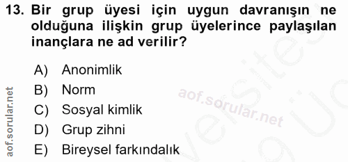 13. soru: Bir grup üyesi için uygun davranışın ne olduğuna ilişkin grup üyelerince paylaşılan inançlara ne ad verilir? A) Anoni…