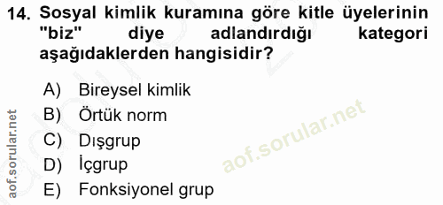 14. soru: Sosyal kimlik kuramına göre kitle üyelerinin "biz" diye adlandırdığı kategori aşağıdaklerden hangisidir? A) Bireysel…