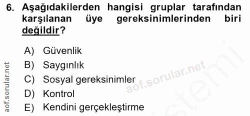 6. soru: Aşağıdakilerden hangisi gruplar tarafindan karşılanan üye gereksinimlerinden biri değildir? A) Güvenlik B) Saygınlık…