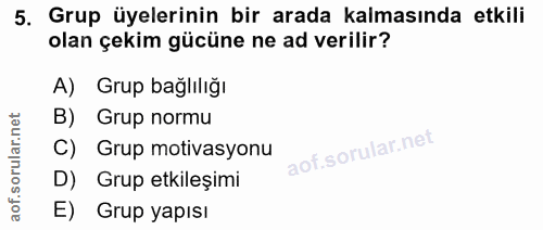 5. soru: Grup üyelerinin bir arada kalmasında etkili olan çekim gücüne ne ad verilir? A) Grup bağlılığı B) Grup normu C) Grup…