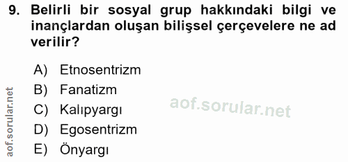 9. soru: Belirli bir sosyal grup hakkındaki bilgi ve inançlardan oluşan bilişsel çerçevelere ne ad verilir? A) Etnosentrizm B)…