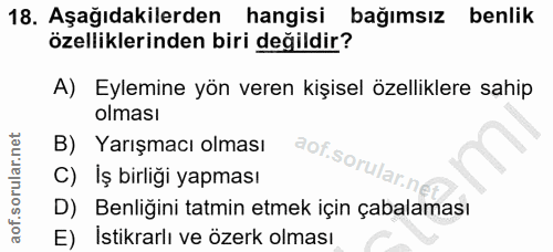 18. soru: Aşağıdakilerden hangisi bağımsız benlik özelliklerinden biri değildir? A) Eylemine yön veren kişisel özelliklere sahi…