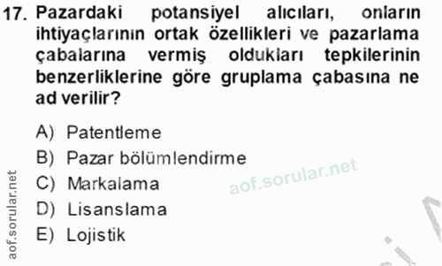 17. soru: Pazardaki potansiyel aliciları, onların ihtiyaçlarının ortak özellikleri ve pazarlama çabalarına vermiş oldukiarı tep…