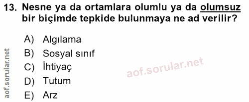 13. soru: Nesne ya da ortamlara olumlu ya da olumsuz bir biçimde tepkide bulunmaya ne ad verilir? A) Algılama B) Sosyal sınıf C…