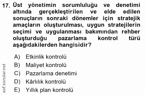 17. soru: Ust yönetimin sorumluluğu ve denetimi altında gerçekleştirilen ve elde edilen sonuçların sonraki dönemler için strate…