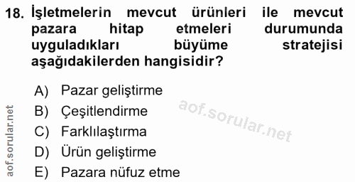 18. soru: İşletmelerin mevcut ürünleri ile mevcut pazara hitap etmeleri durumunda uyguladıkları büyüme stratejisi aşağıdakilerd…