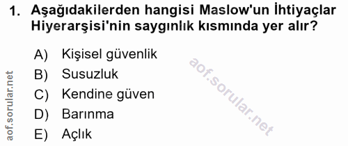 1. soru: Aşağıdakilerden hangisi Maslow'un İhtiyaçlar Hiyerarşisi'nin saygınlık kısmında yer alır? A) Kişisel güvenlik B) Susu…