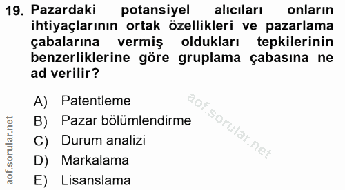 19. soru: Pazardaki potansiyel alıcıları onların ihtiyaçlarının ortak özellikleri ve pazarlama çabalarına vermiş oldukları tepk…