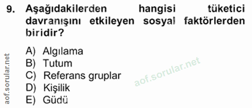 9. soru: Aşağıdakilerden hangisi tüketici davranışını etkileyen sosyal faktörlerden biridir? A) Algılama B) Tutum C) Referans…