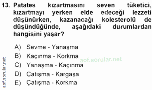 13. soru: Patates kızartmasını seven tüketici, kızartmayı yerken elde edeceği lezzeti düşünürken, kazanacağı kolesterolü de düş…