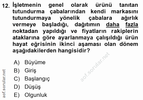 12. soru: İşletmenin genel olarak ürünü tanıtan tutundurma çabalarından kendi markasını tutundurmaya yönelik çabalara ağırlık v…