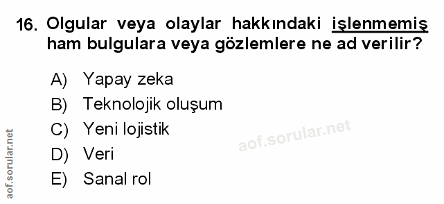 16. soru: Olgular veya olaylar hakkındaki işlenmemiş ham bulgulara veya gözlemlere ne ad verilir? A) Yapay zeka B) Teknolojik o…