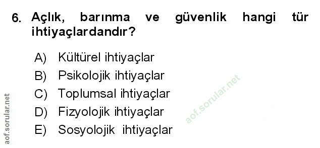6. soru: Açlık, barınma ve güvenlik hangi tür ihtiyaçlardandır? A) Kültürel ihtiyaçlar B) Psikolojik ihtiyaçlar C) Toplumsal i…