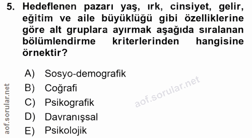 5. soru: Hedeflenen pazarı yaş, ırk, cinsiyet, gelir, eğitim ve aile büyüklüğü gibi özelliklerine göre alt gruplara ayırmak aş…